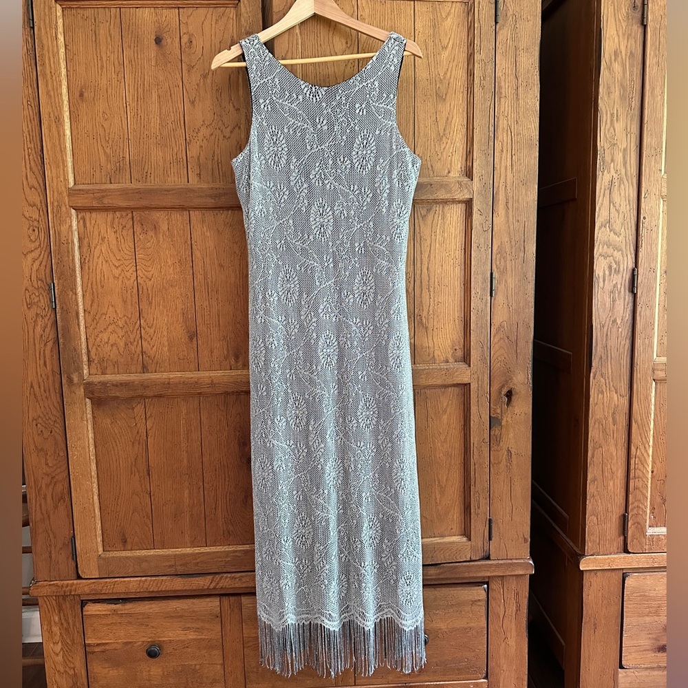 Harlow Silver Mesh and Fringe Dress